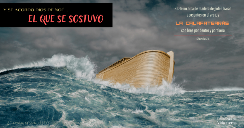 Y SE ACORDÓ DIOS DE NOÉ… EL QUE SE SOSTUVO