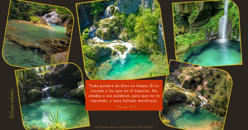 Bellezas Naturales – Proverbios 30:5-6