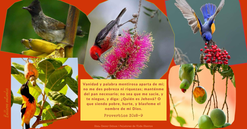 Bellezas Naturales – Proverbios 30:8-9