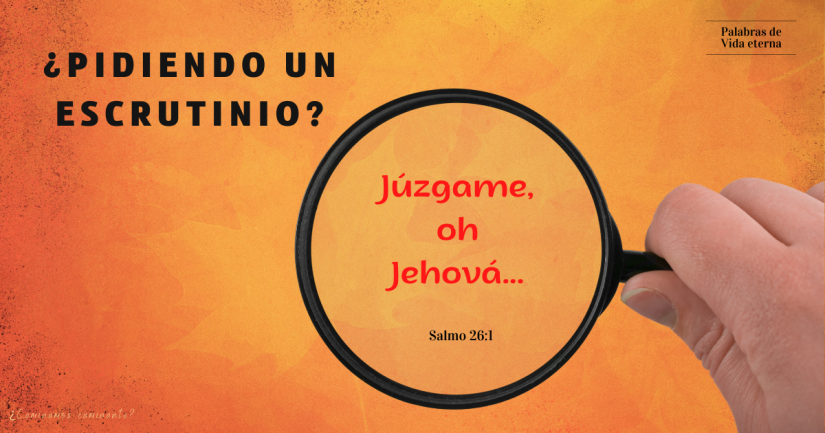 ¿PIDIENDO UN ESCRUTINIO?