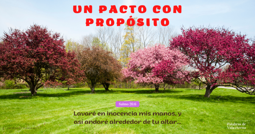 UN PACTO CON PROPÓSITO.
