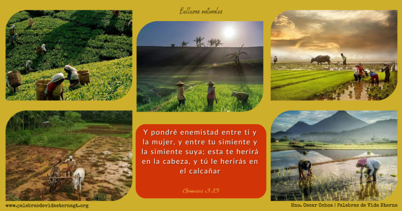 Bellezas Naturales – Génesis 3:15