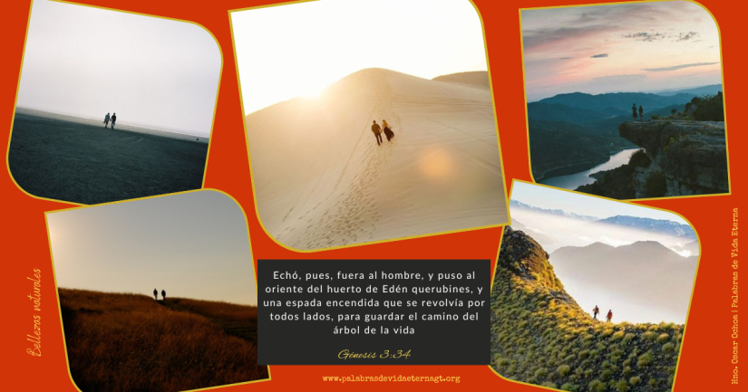 Bellezas Naturales – Génesis 3:34