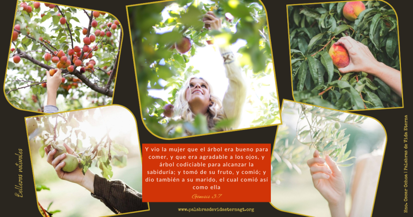 Bellezas Naturales – Génesis 3:7