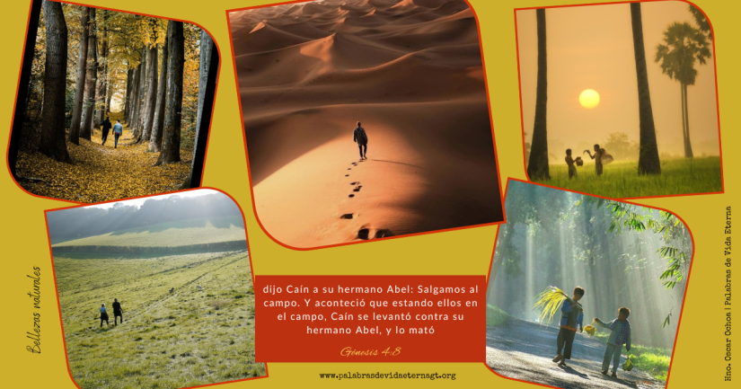 Bellezas Naturales – Génesis 4:8