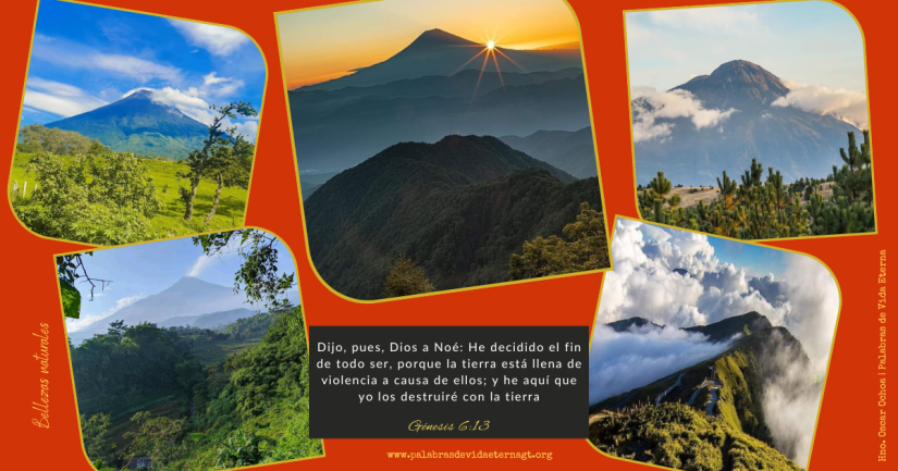 Dios revela su propósito a Noé