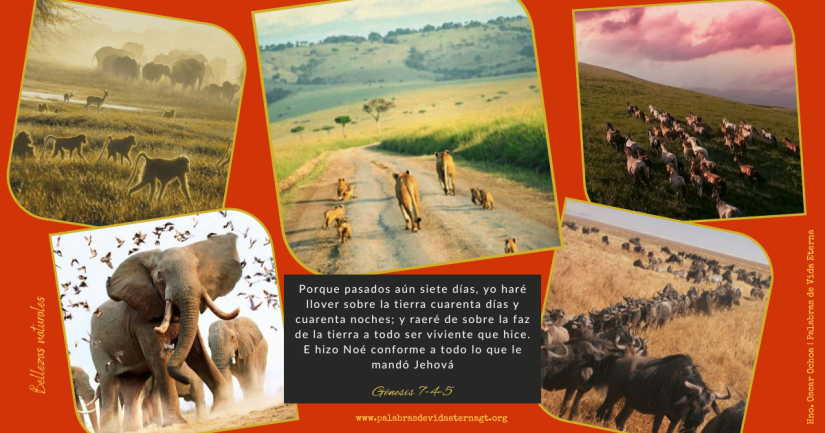 Bellezas Naturales – Génesis Génesis 7:1-10