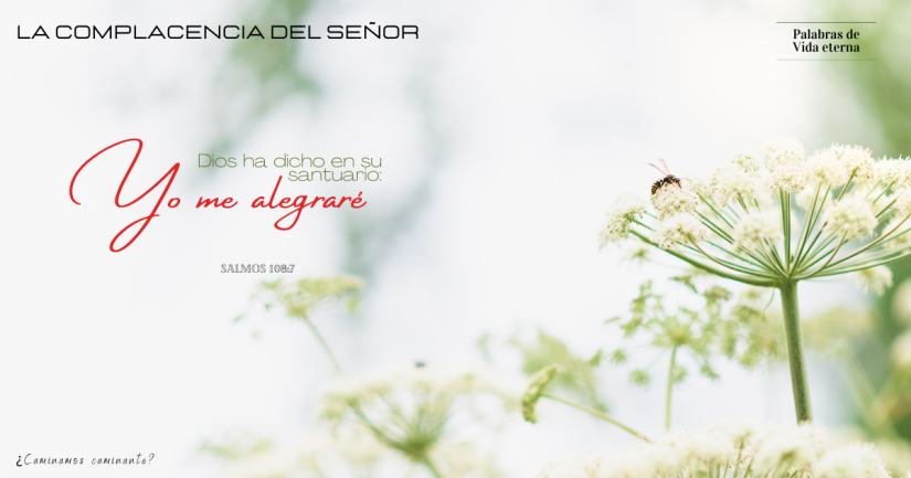 LA COMPLACENCIA DEL SEÑOR