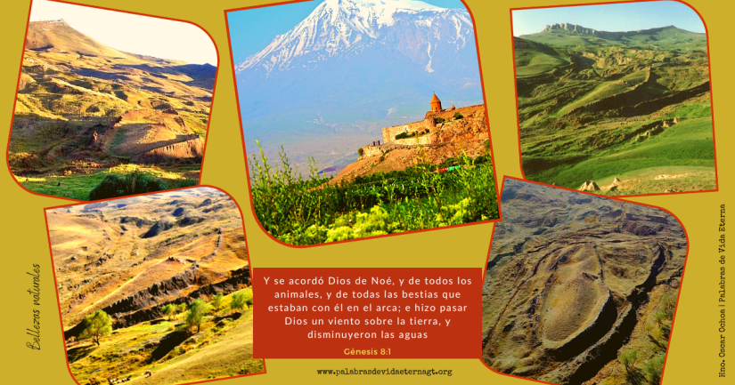 «Final del Diluvio» (Génesis 8:1-5).