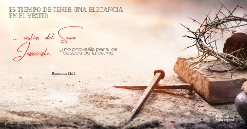 ES TIEMPO DE TENER UNA ELEGANCIA EN EL VESTIR.