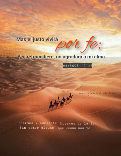 Nutrición Espiritual – Hebreos 10:38