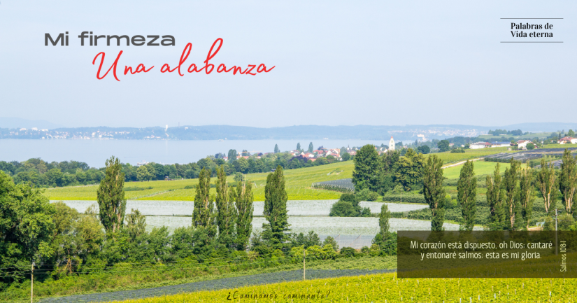 MI FIRMEZA, UNA ALABANZA