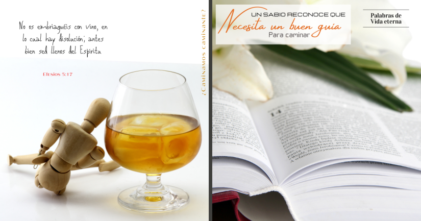 UN SABIO RECONOCE QUE NECESITA UN BUEN GUÍA EN SU CAMINAR