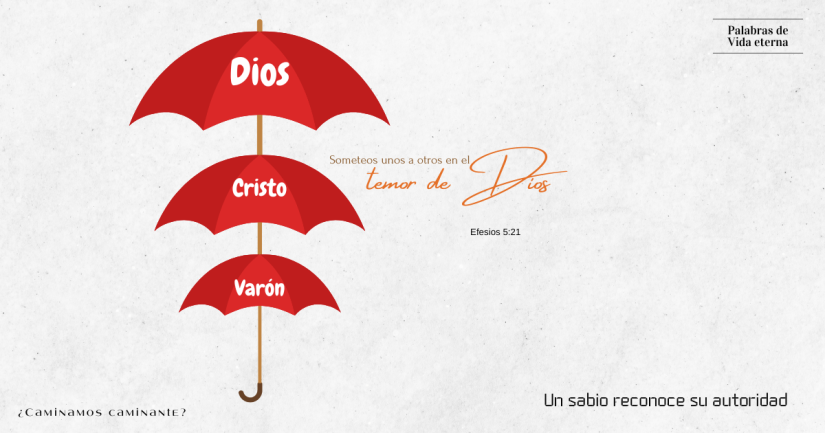 Un sabio reconoce su autoridad