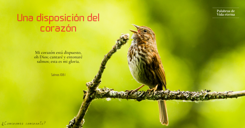 UNA DISPOSICIÓN DEL CORAZÓN