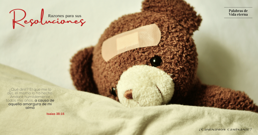 Razones para sus resoluciones