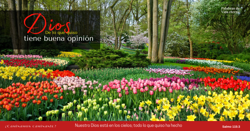 Dios, de lo que quiso, tiene buena opinión
