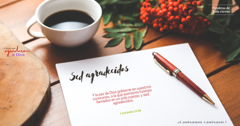 Sed agradecidos