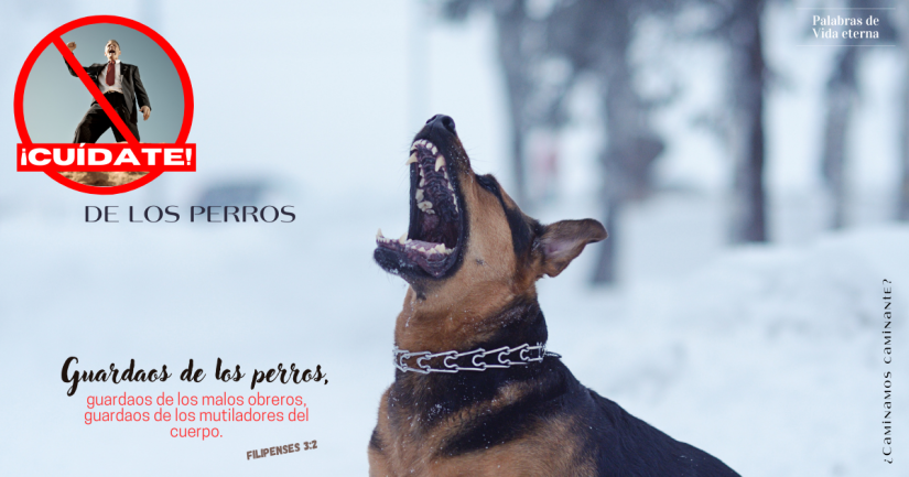 Cuídate de los perros.