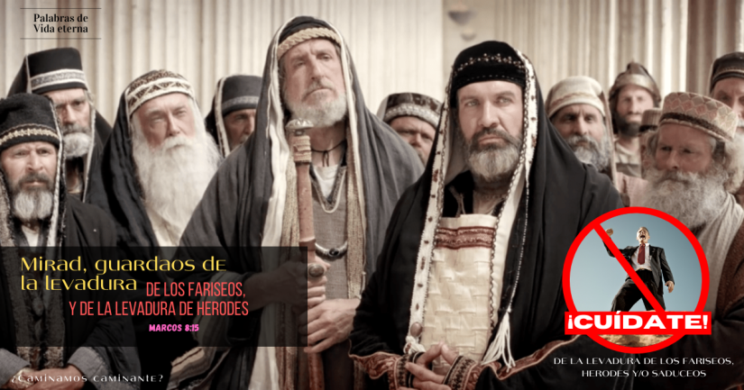 Cuídate de la levadura de los fariseos herodes y sadueos