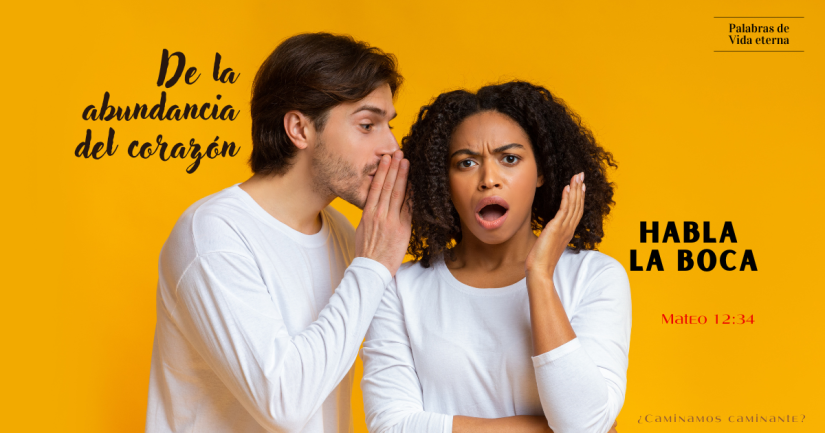 LOS PECADOS DE LA LENGUA
