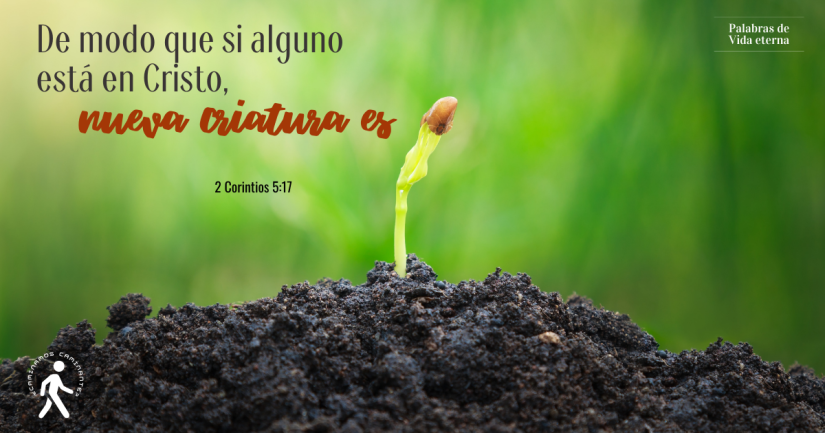 BENDICIONES QUE AHORA GOZA UN CREYENTE EN CRISTO