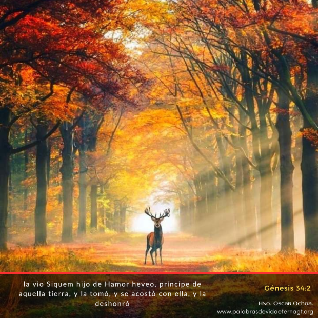 La deshonra de Dina y las consecuencias