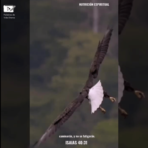 Isaías 40:31 – Nutrición Espiritual