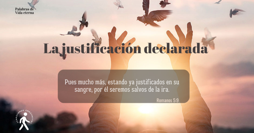 LA JUSTIFICACIÓN DECLARADA