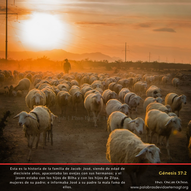 La Historia de José