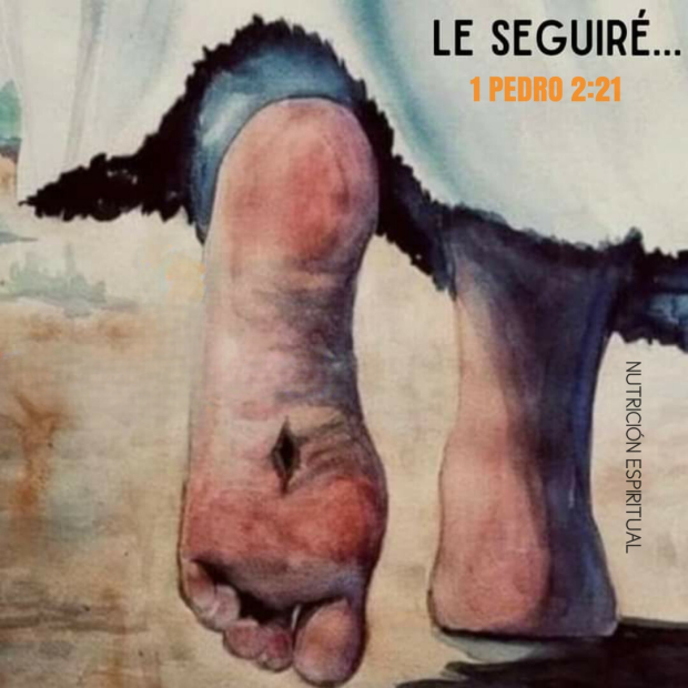 1 Pedro 2:21 – Nutrición Espiritual