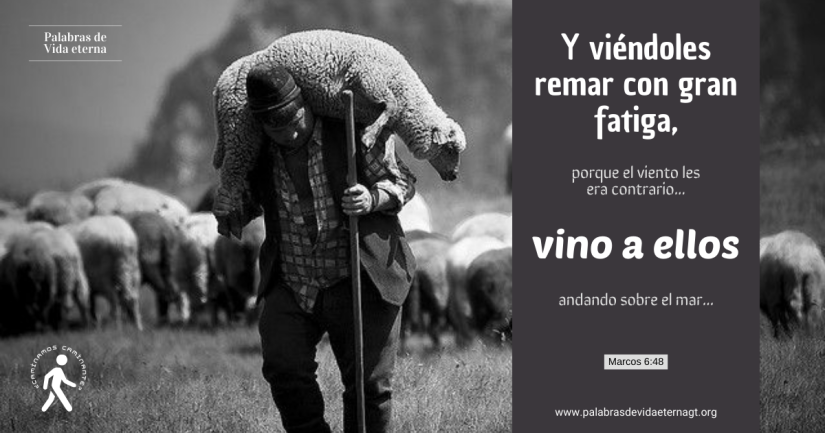 TEMOR POR LA DUDA: Y VIÉNDOLES