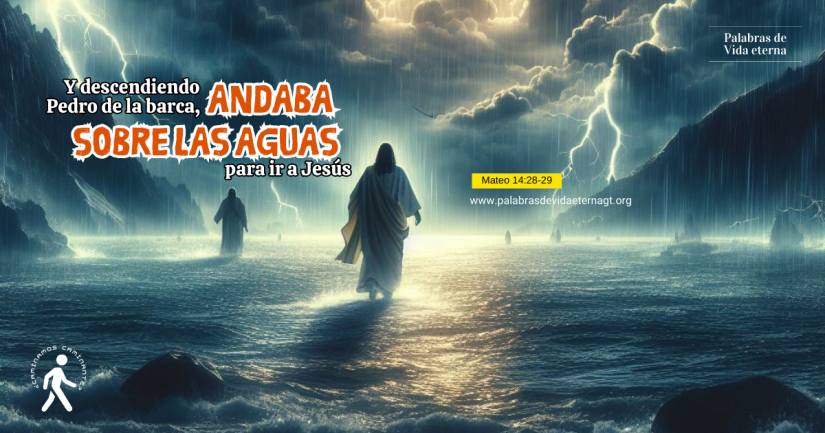 EL TEMOR POR LA DUDA: LA OSADIA DE ANDAR POR FE