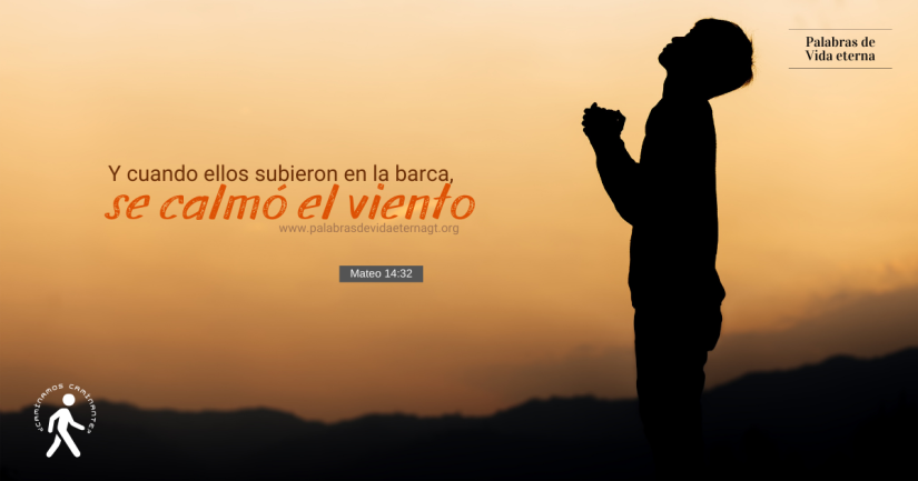 LA SOLUCION – QUE EL SEÑOR TENGA EL CONTROL