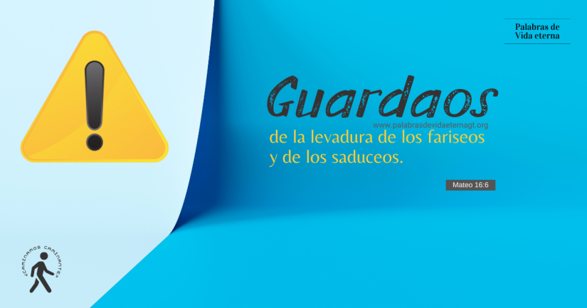 EL TEMOR POR FALTA DE ENTENDIMIENTO: LEVADURA