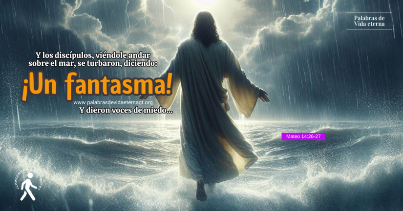 TEMOR POR LA DUDA: LO QUE HACE LA IGNORANCIA