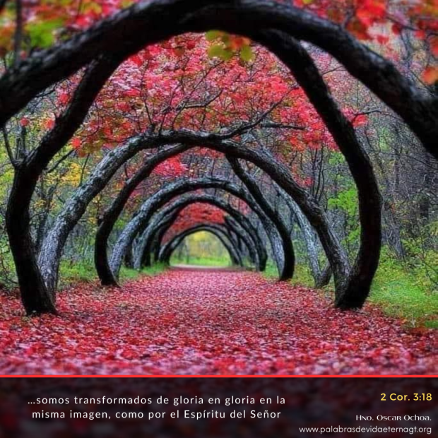 Más y más parecidos a Cristo