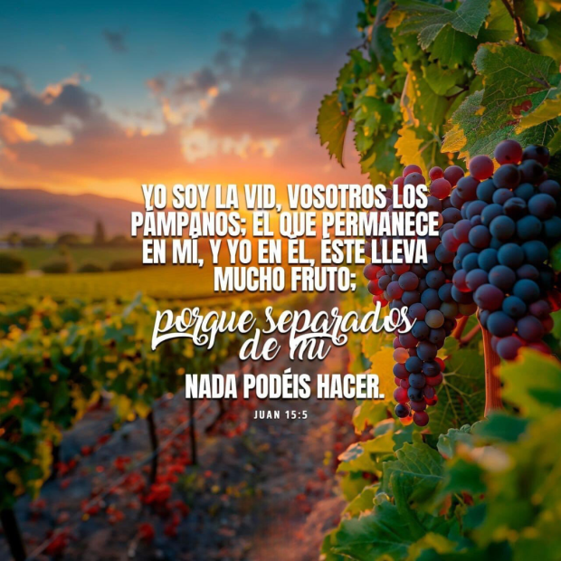 Juan 15:5 – Nutrición Espiritual