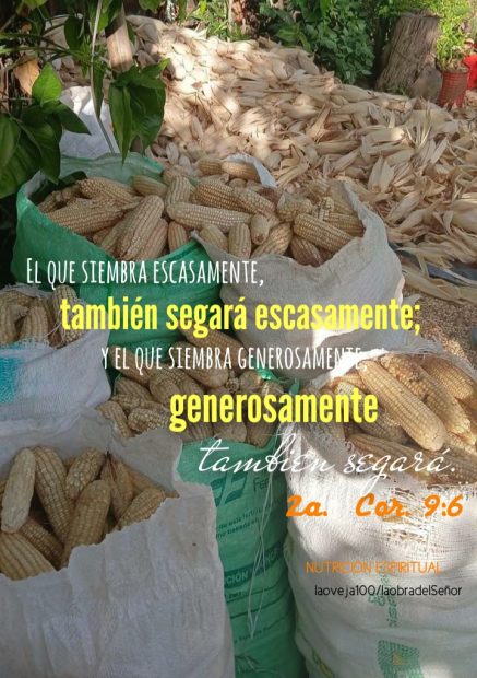 Sembrando en la obra del Señor