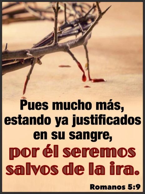 Culpables ante el tribunal de la Ley de Dios