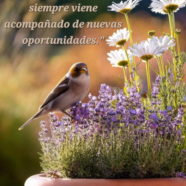 El perdón de Dios siempre viene acompañado de nuevas oportunidades