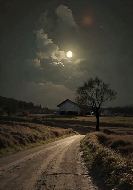 Tú me haces vivir confiado