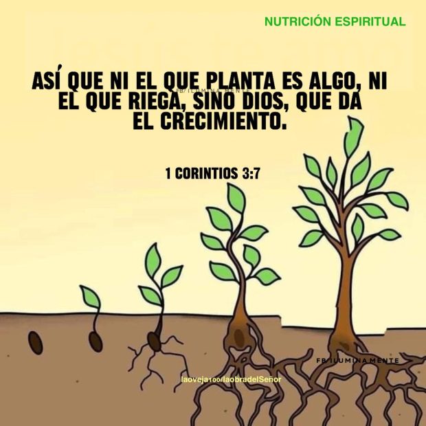 Dios: El Único que Hace Crecer