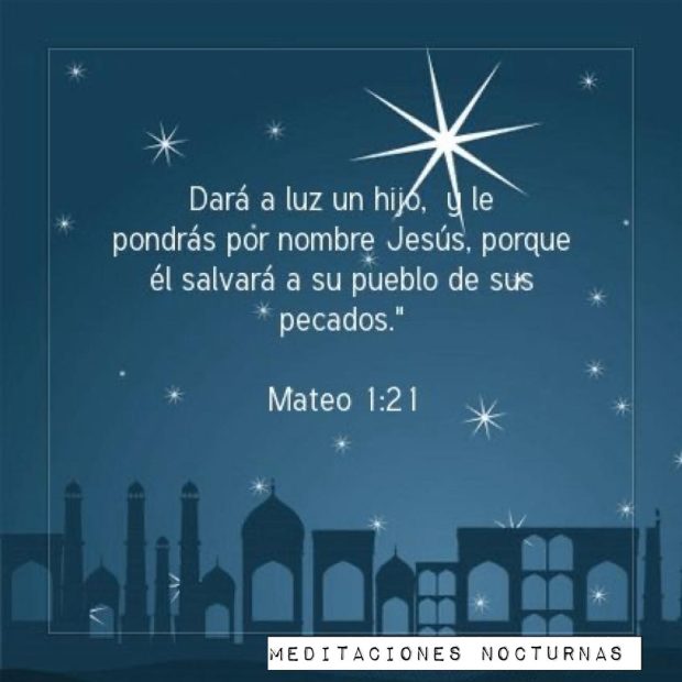 JESÚS, EL PERFECTO SALVADOR