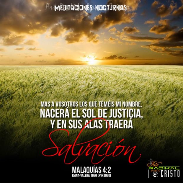 EL SOL DE JUSTICIA